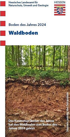 Titelbild der Publikation Boden des Jahres 2024 - Waldboden