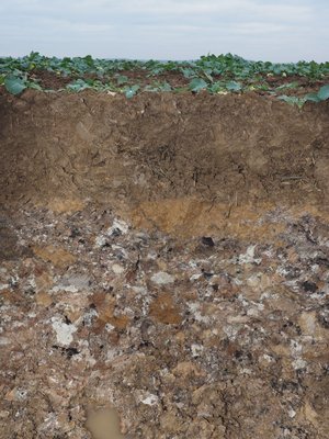 Bodenprofil, das einen aufgeschütteten Boden zeigt.