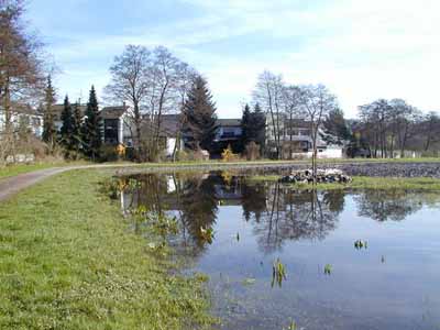 Vernässung durch hohes Grundwasser und angrenzende Bebauung in Nauheim im April 2001