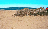 Feldrandkompostierung feldrand.gif