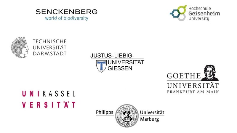 Partner_LSI_Logos_NEU.JPG