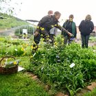 Lehrgarten der Lebensräume Eine kleine Gruppe nimmt an einer Führung über Wildpflanzen im Lehrgarten teil