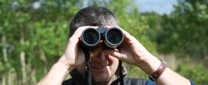 sichtbeobeobachtung_605x250.jpg