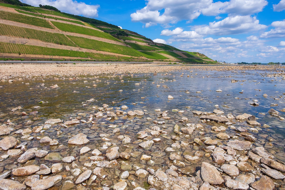 Niedrigwasser am Rhein bei Bingen