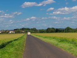 Wegrand bei Florstadt (Wetteraukreis)