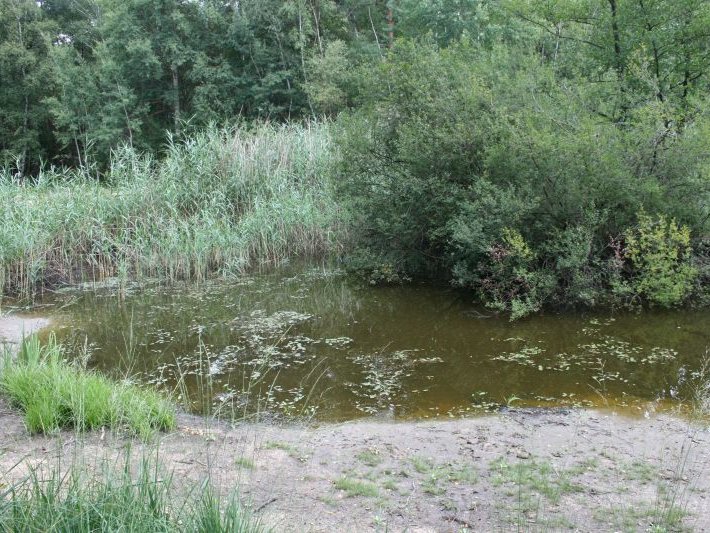 Gewässer(ufer)