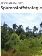 Spurenstoffstrategie Hessisches Ried