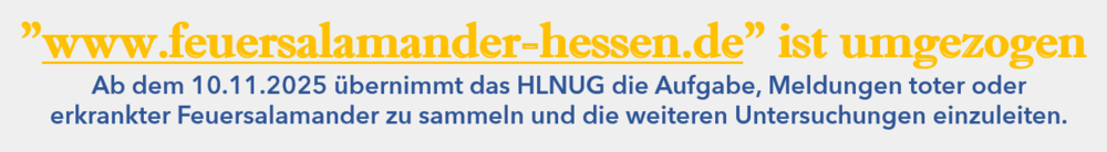 Neue_Seite_Feuersalamander__2.png