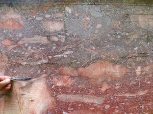 Devonischer Riffkalkstein („Lahnmarmor“) bei Villmar 