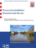 Wasserwirtschaftlicher Monatsbericht