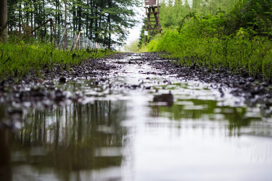 Regenwasser auf Feldweg