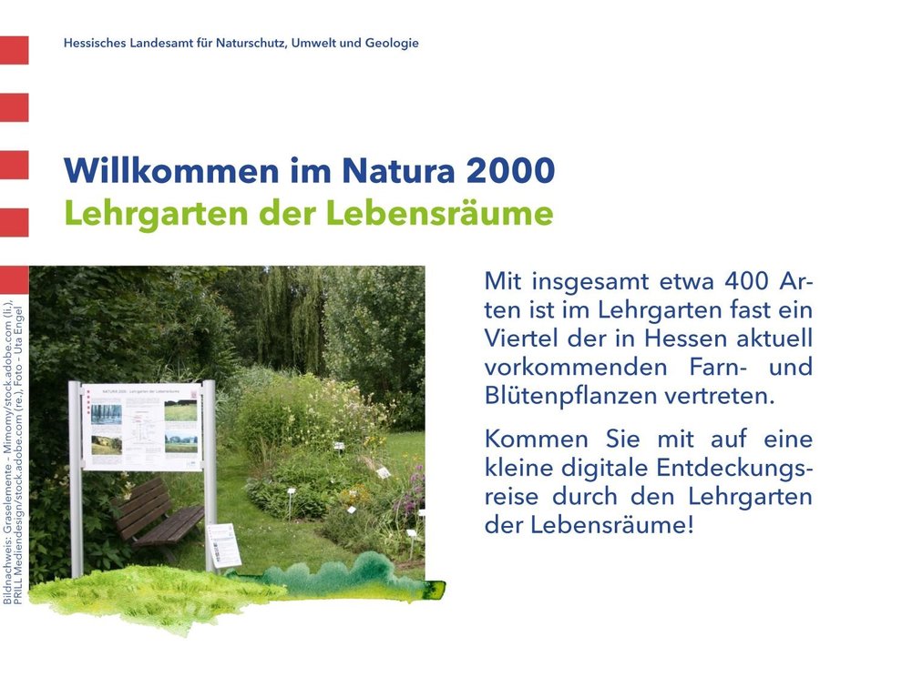 Lehrgarten der Lebensräume Lehrgarten2.jpg