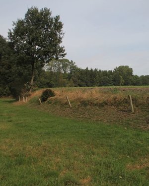 Eschkante (Asendorf, Niedersachsen)