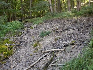 Kalktuffquelle in Hangbereich am Waldrand