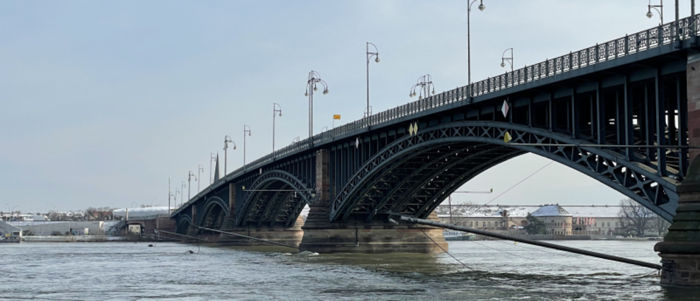 Die Theodor Heuss Brücke bietet über die Brückenpfeiler eine Beprobung des Rheins im Querschnitt. Die Theodor Heuss Brücke bietet über die Brückenpfeiler eine Beprobung des Rheins im Querschnitt.