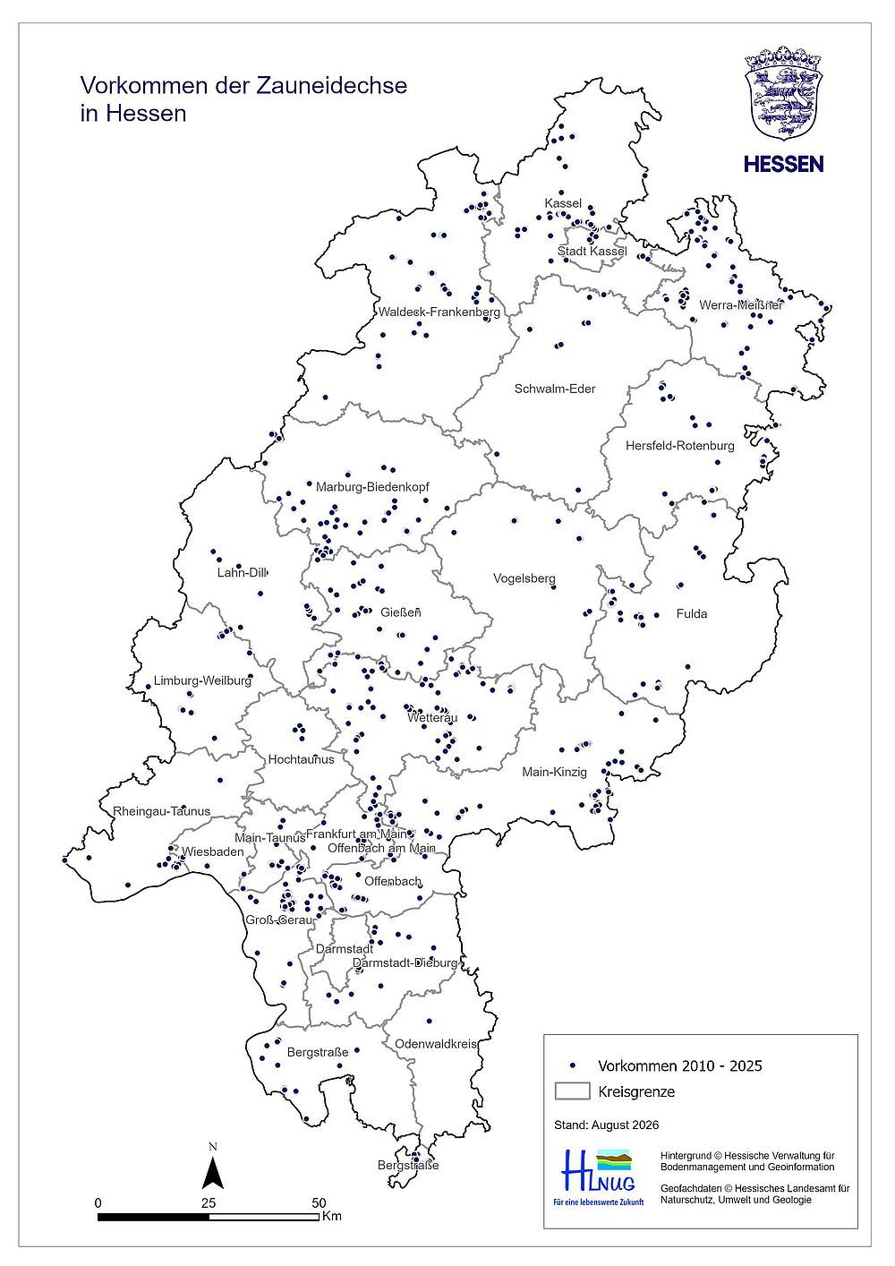 Zauneidechse.jpg