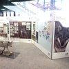 Wolf_Ruesselsheim_2019.jpg