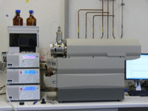 Liquid-Chromatograph-Massenspektrometer (LC-MS/MS)