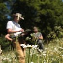 Vegetationserfassung auf einer artenreichen Wiese