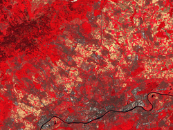 Fernerkundung_Sentinel-2_FalschfarbenFrankfurt_Hessen_HLNUG.png