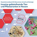 DB_InvasiveArten_2021.JPG