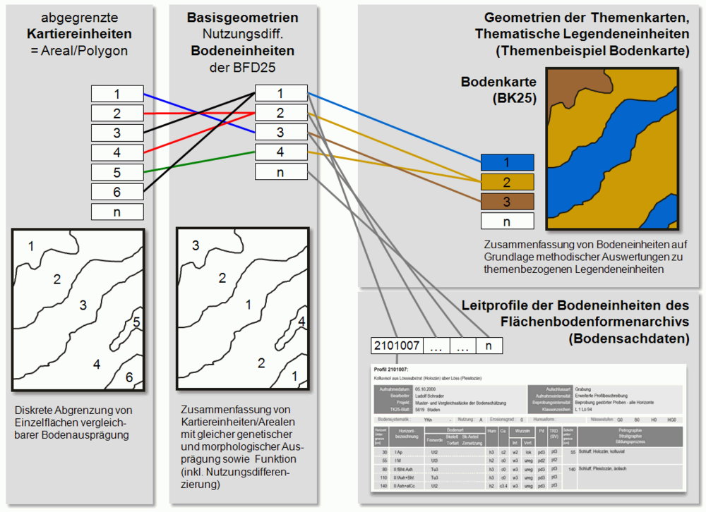 Struktur der Bodenflächendaten
