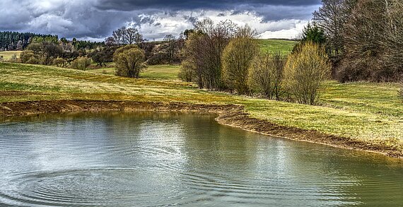 Wasserkörper umgeben von Wiesen und Bäumen