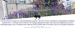 Zitat_Sandra_Sieber.png