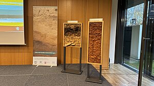 Ausgestellte Kastenprofile Kohlenmeilerboden und Roterde