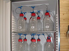 Sickerflaschen im Kühlschrank