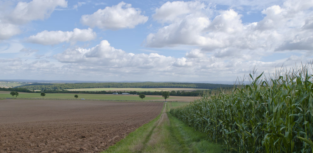 Landschaft mit Acker