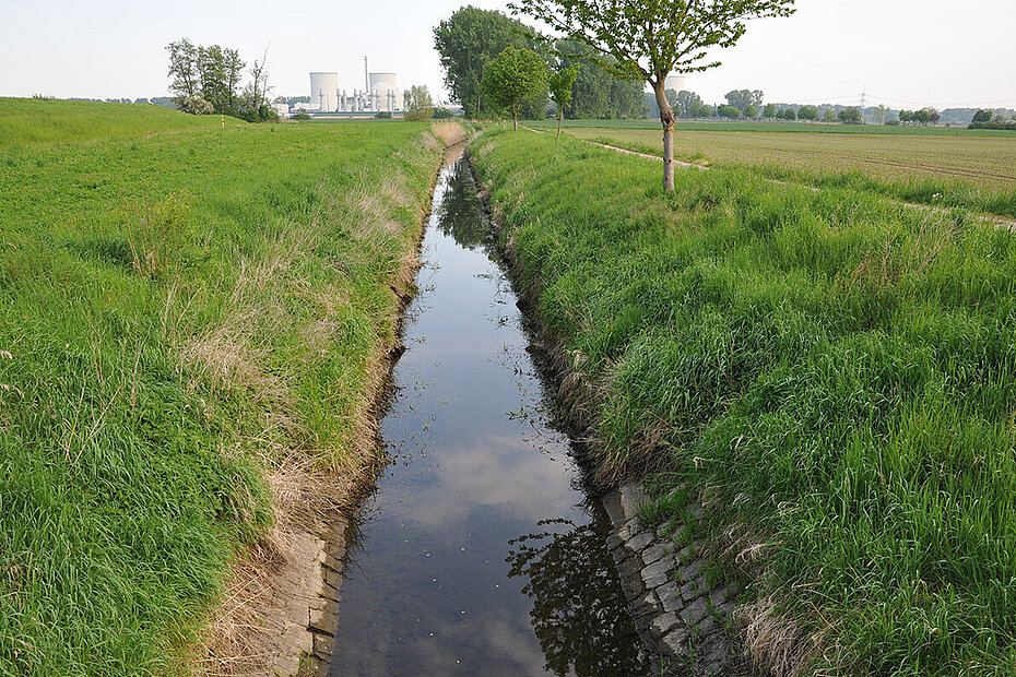 Halbmaasgraben im südlichen Hessischen Ried bei Biblis 