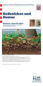 Posterdisplay Bodenleben und Humus