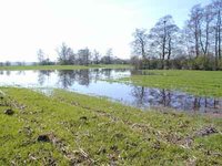 Pfungstadt, westlich des Moores;