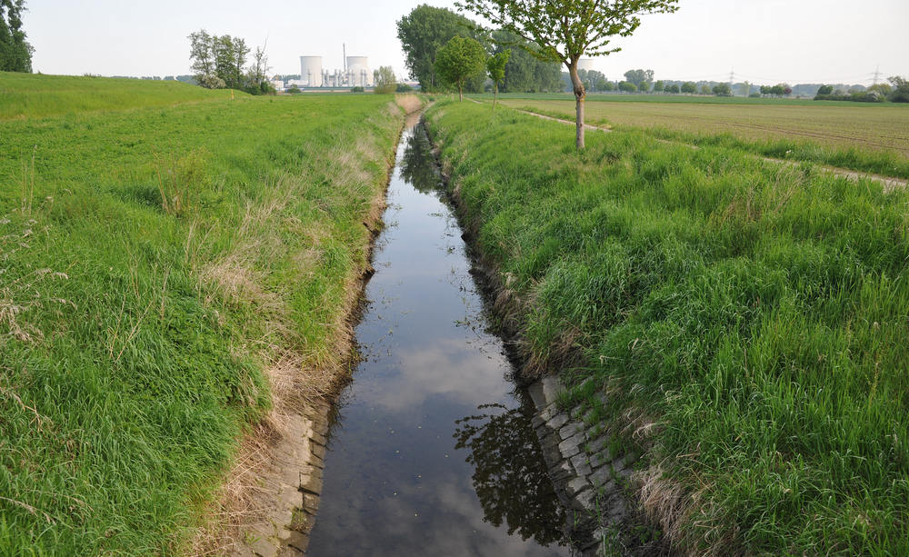 Halbmaasgraben im südlichen Hessischen Ried bei Biblis