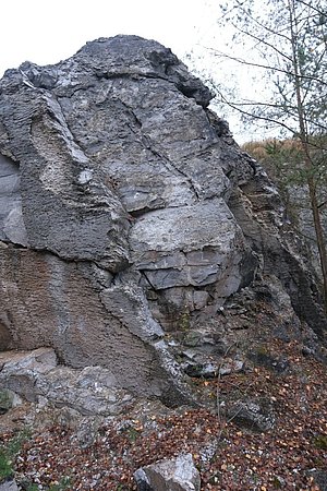 Unteres Werra-Sulfat (Zechstein) im Gipssteinbruch Konnefeld 