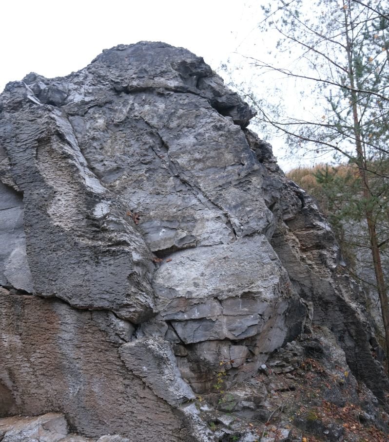 Unteres Werra-Sulfat (Zechstein) im Gipssteinbruch Konnefeld