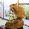 HLNUG_4-Hess-Landesnaturschutztagung_20191106_0018_Andreas_Bender.jpg