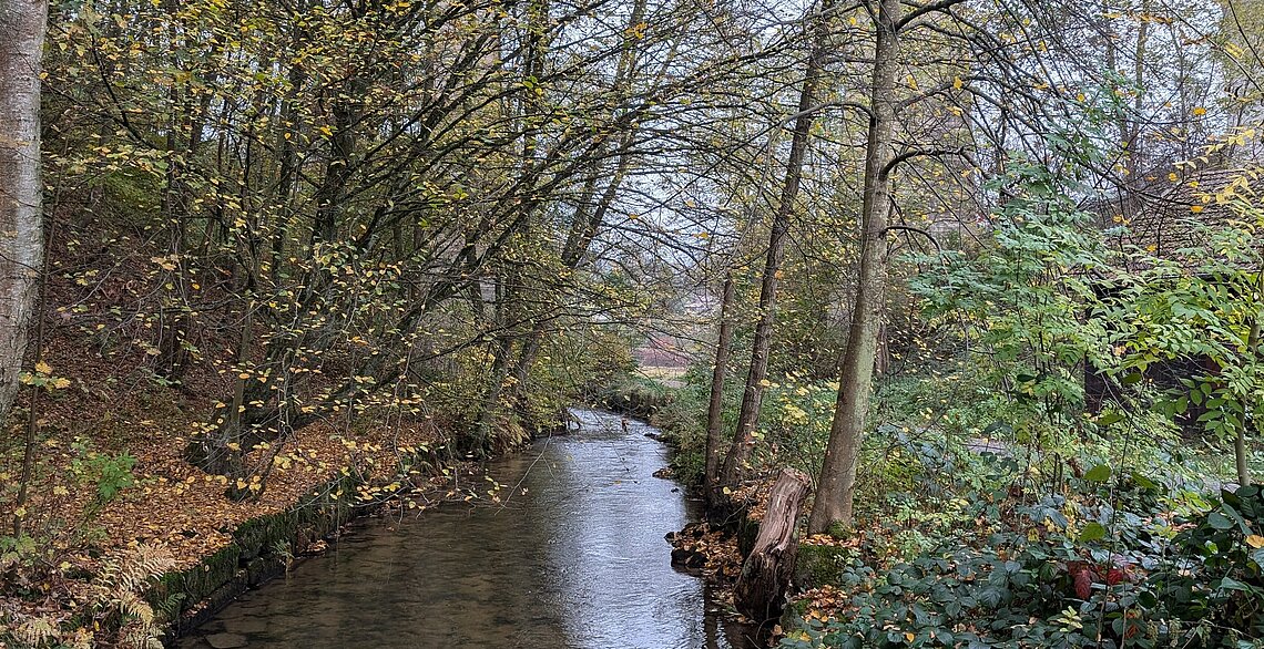 Fluss Jossa im Oktober 2024