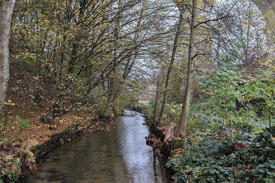 Fluss Jossa im Oktober 2024