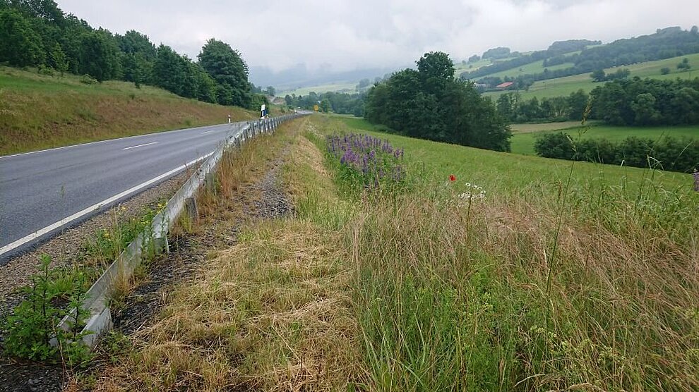 Potential am Wegrand – Resiliente Agrarlandschaften der Zukunft (WegAS)