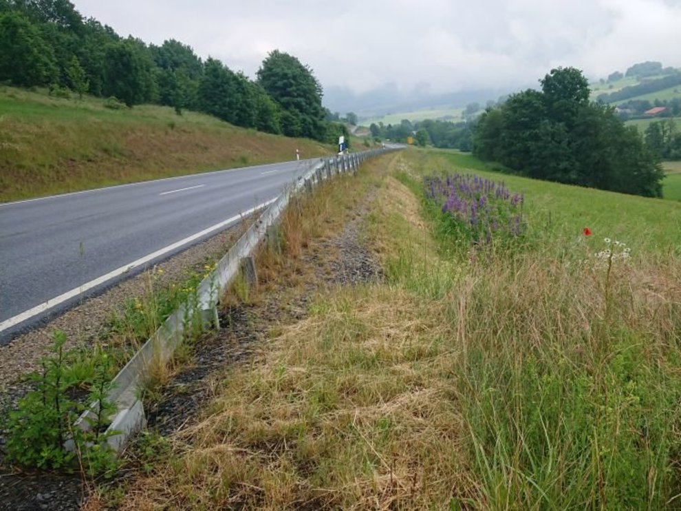 Straßenrand bei Hilders (Landkreis Fulda) Straßenrand bei Hilders (Landkreis Fulda)