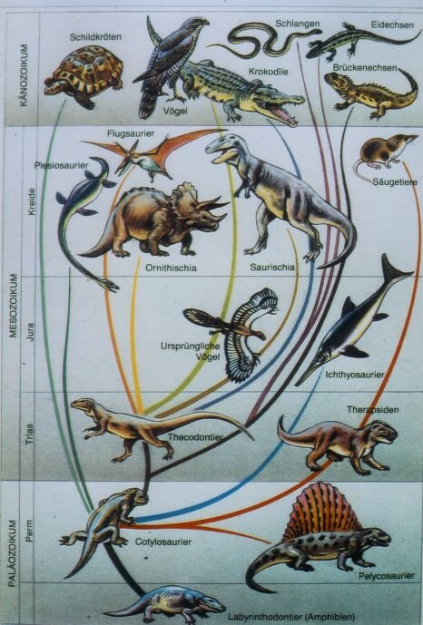 Stammbaum der Saurier