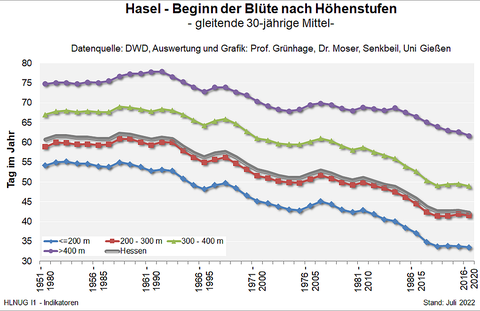 Hasel - Beginn der Blüte nach Höhenstufen gleitende 30-jährige Mittel in Hessen