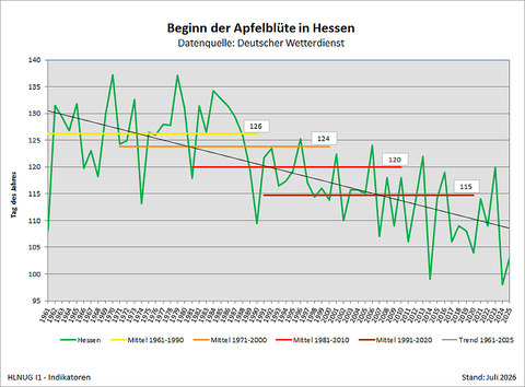 Beginn der Apfelblüte in Hessen