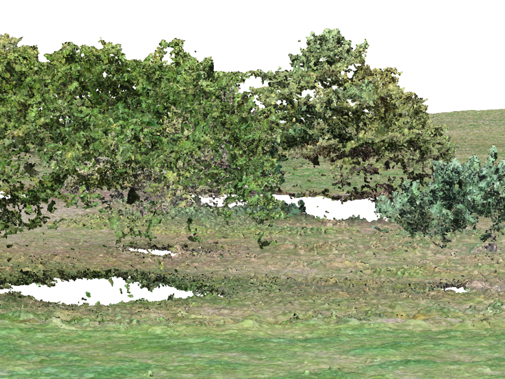 3D-Projektion eines Streuobstbestands Streuobstbaeume_1.PNG