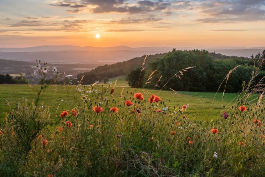 Sonnenaufgang in der Rhön