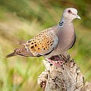 AdobeStock_346123721__J.C.Salvadores.jpg