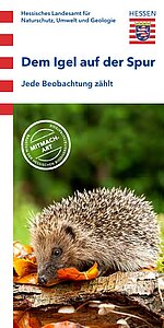 DB_Faltblatt_Igel.jpg
