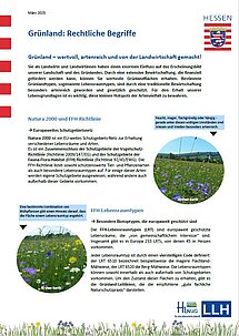 Titelseite zum Praxisblatt Rechtliche Begriffe